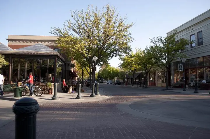 Una calle comercial arbolada en Hyde Park, en el North End